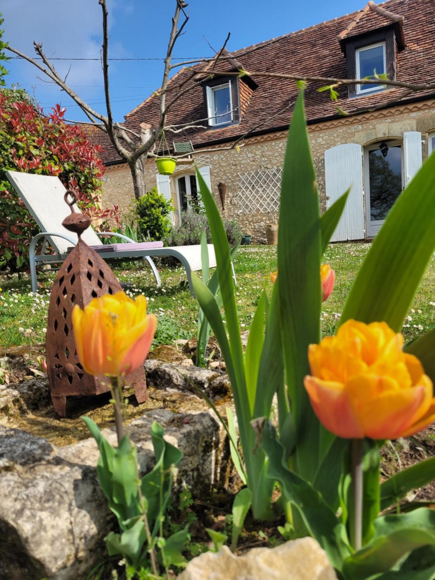 Le Clos Des Etoiles B&B Le Bugue Esterno foto